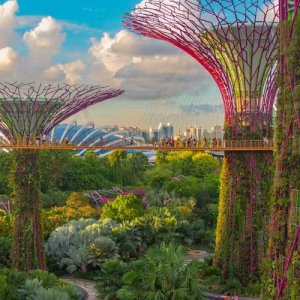 VISIT VISA SINGAPORE