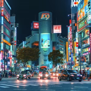 VISIT VISA JAPAN