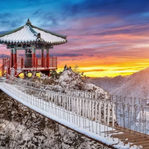 VISIT VISA SOUTH KOREA